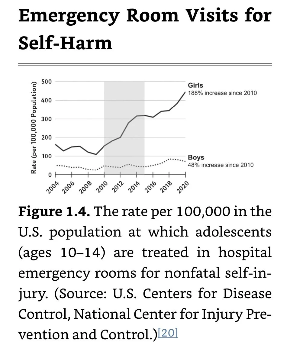 Emergency Room Visits for Self-Harm.jpeg