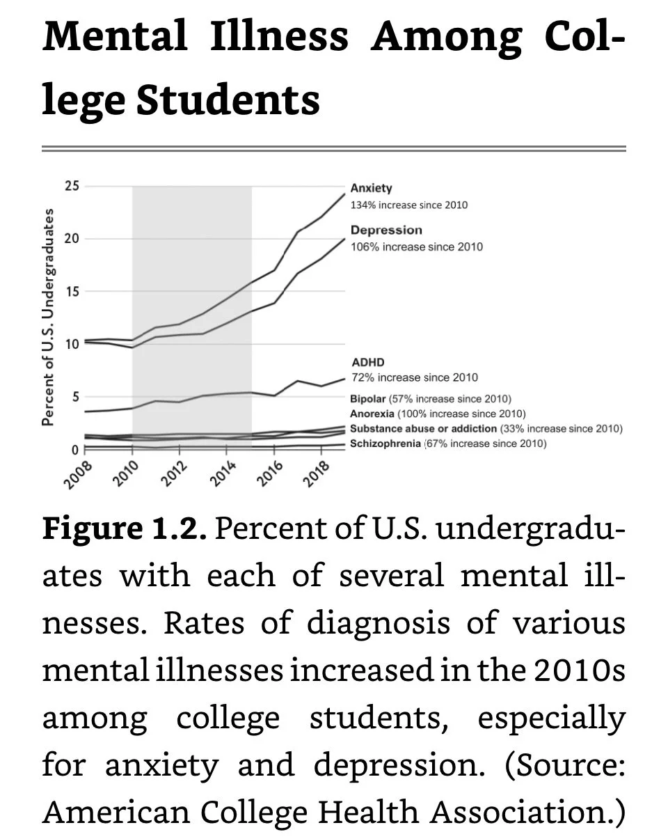 Mental Illness Among College Students.jpeg