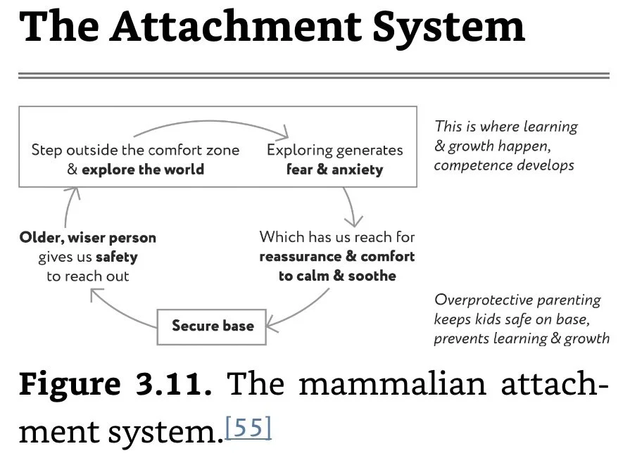 The Attachment System.jpeg