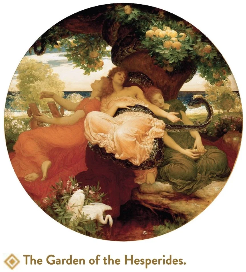 The Garden of the Hesperides.jpeg