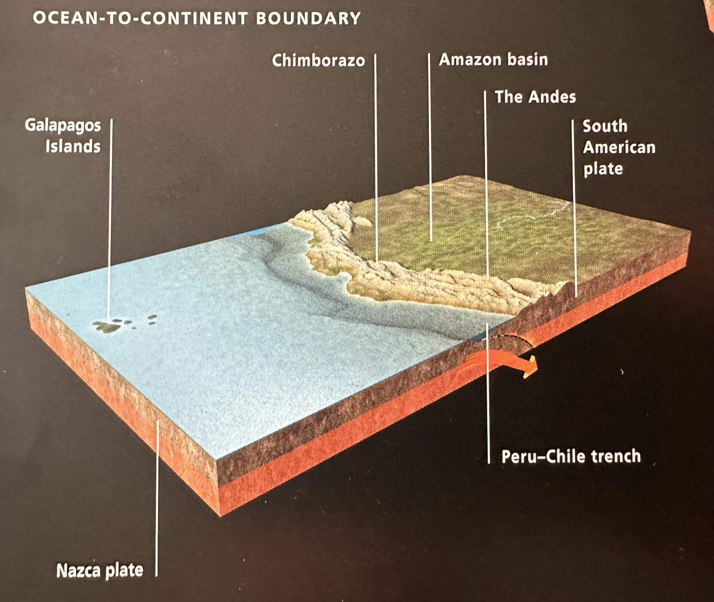 Ocean to Continent Boundaries