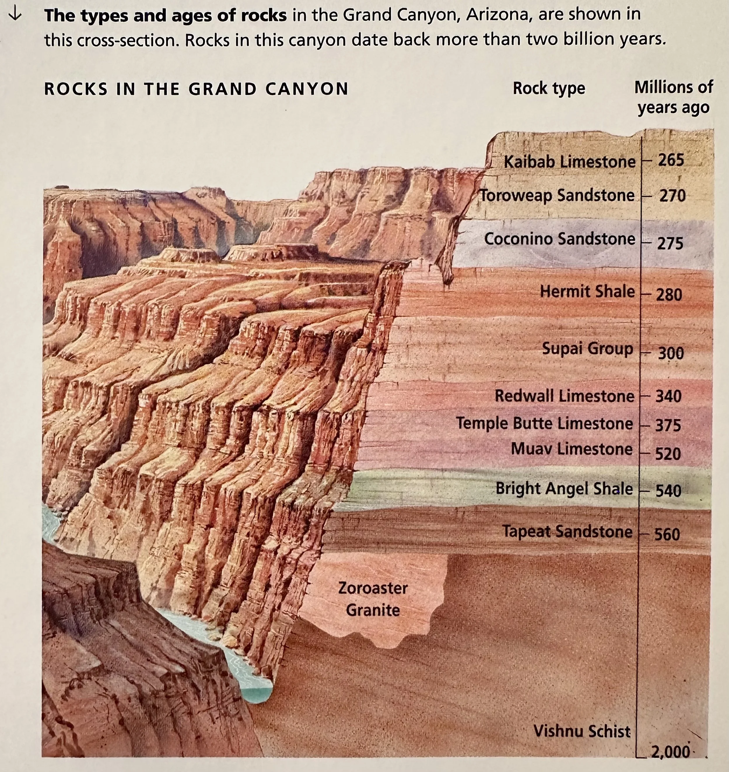 Rocks in the Grand Canyon