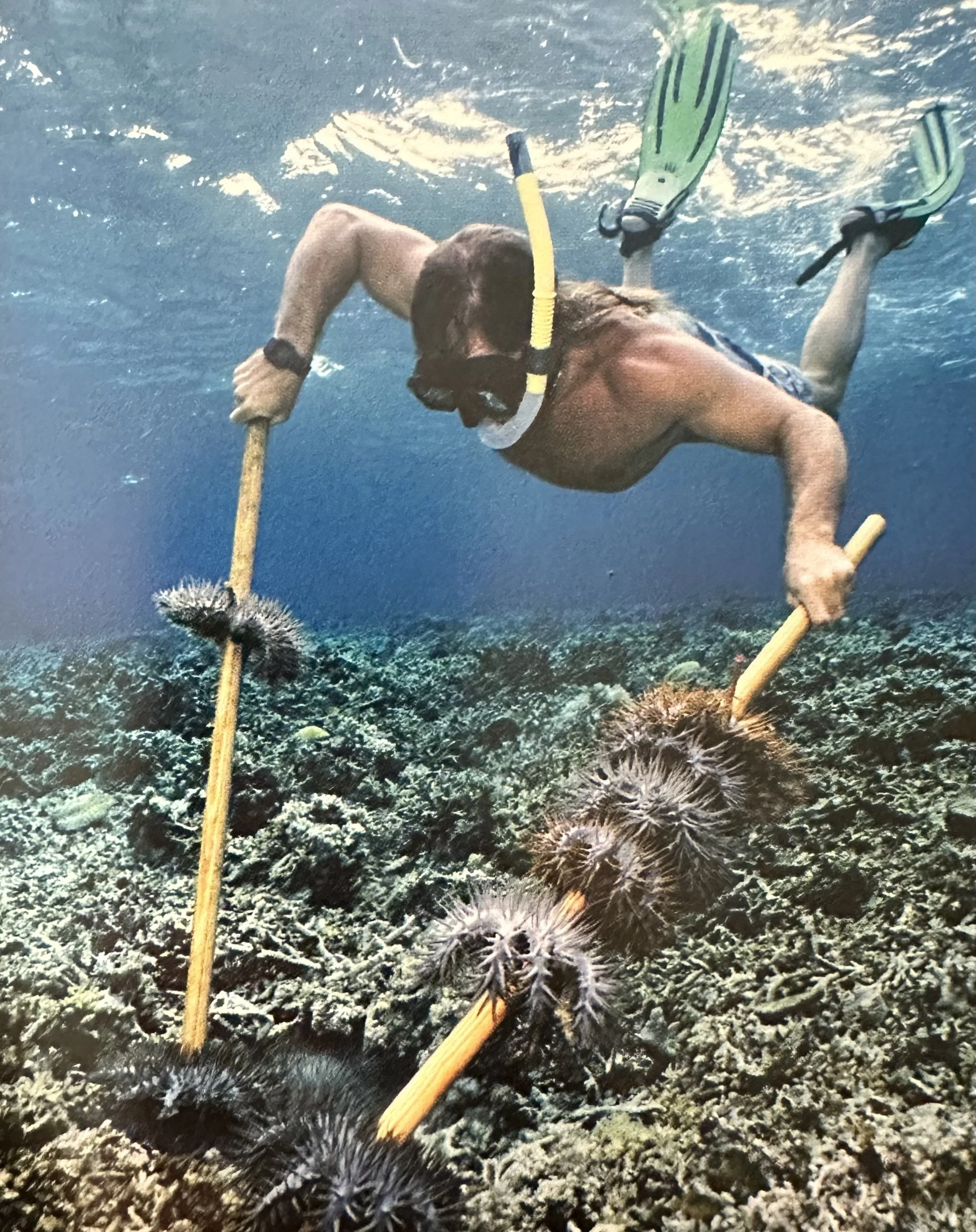 Invasive Species.jpeg