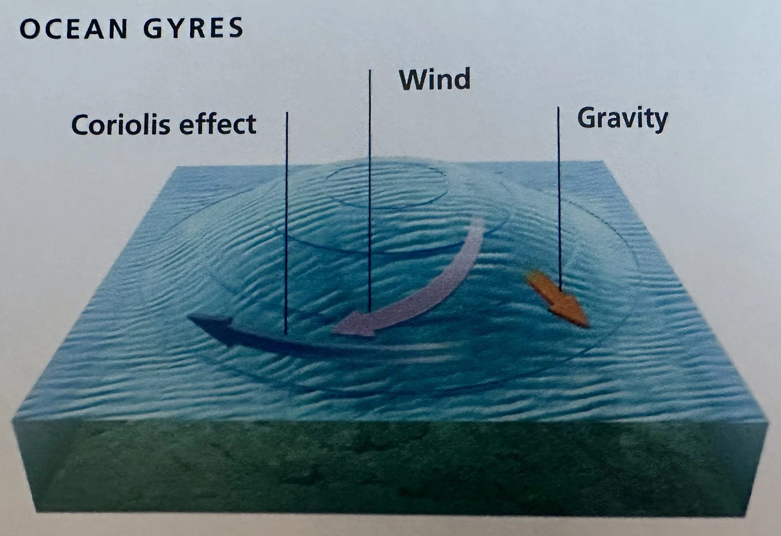 Ocean Gyres