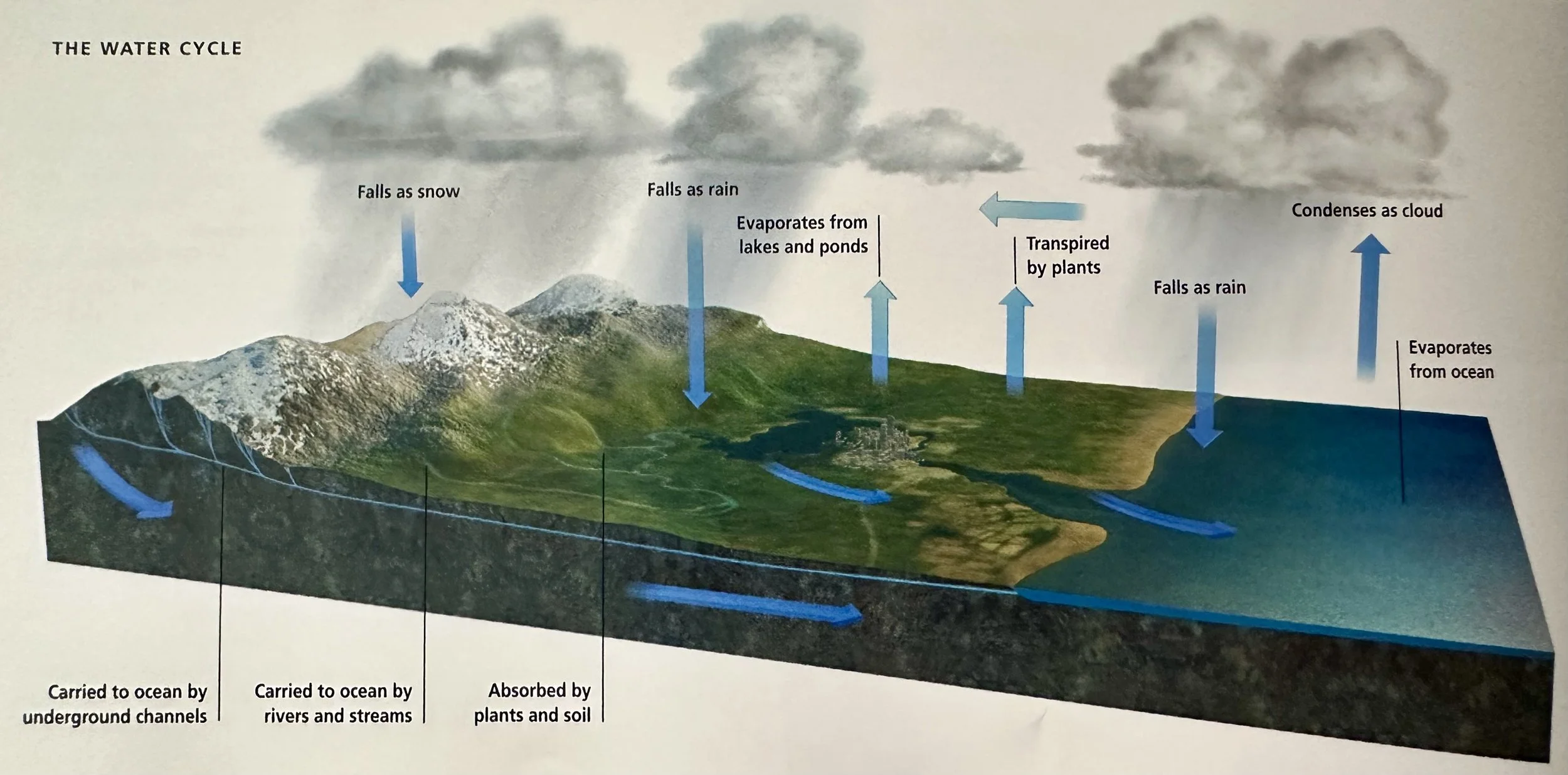 The Water Cycle