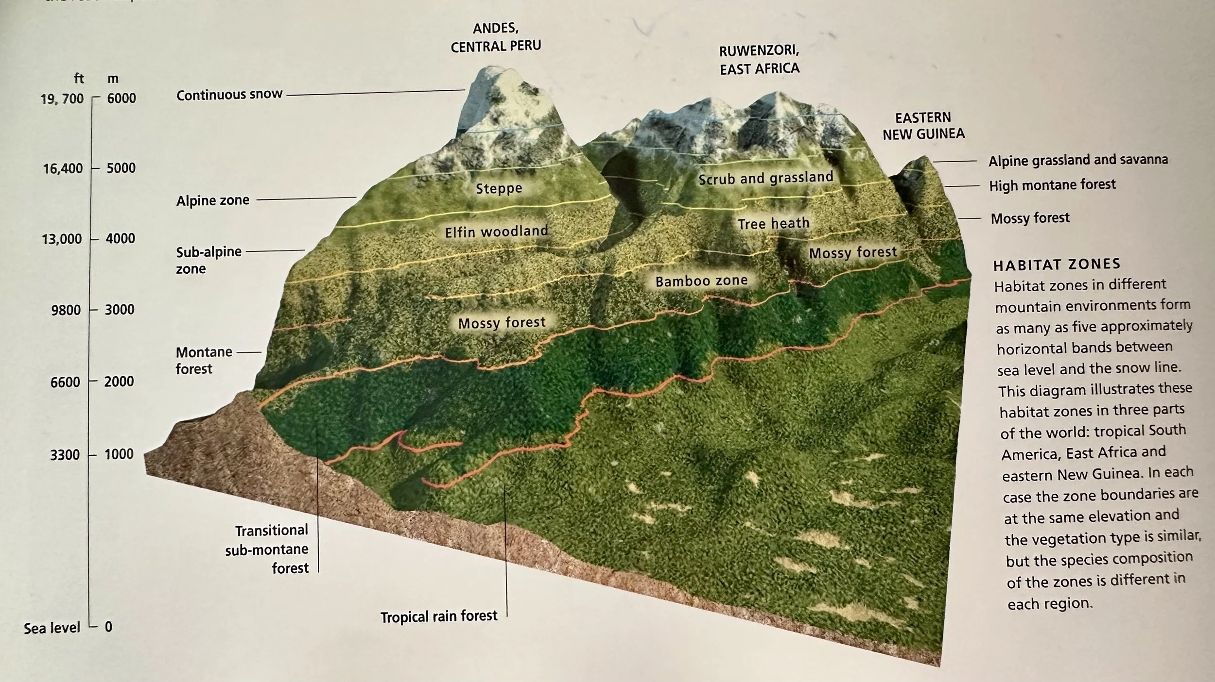 Alpine Habitat Zones