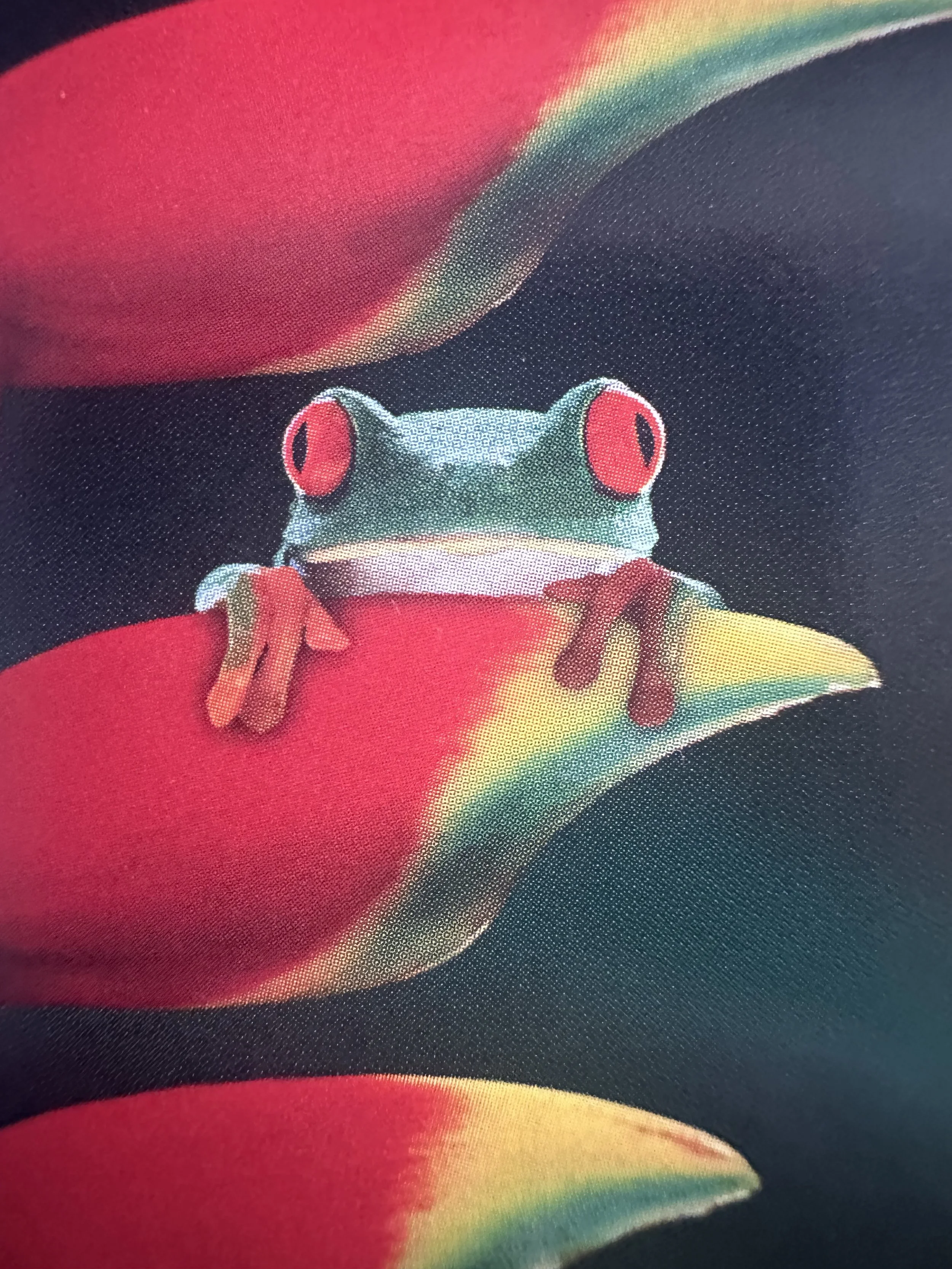 Awesome Frog.jpeg