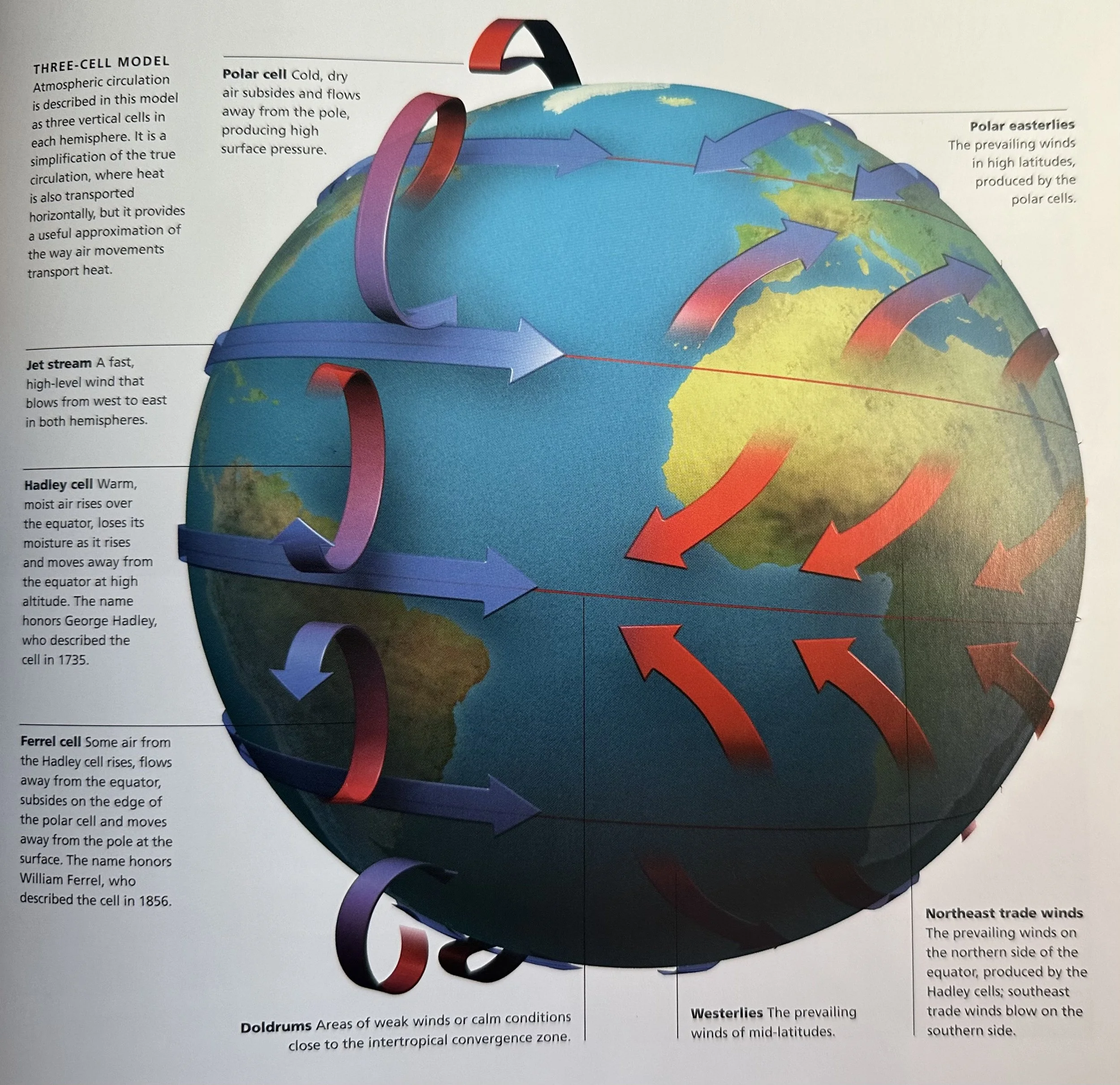 Three Cell Model