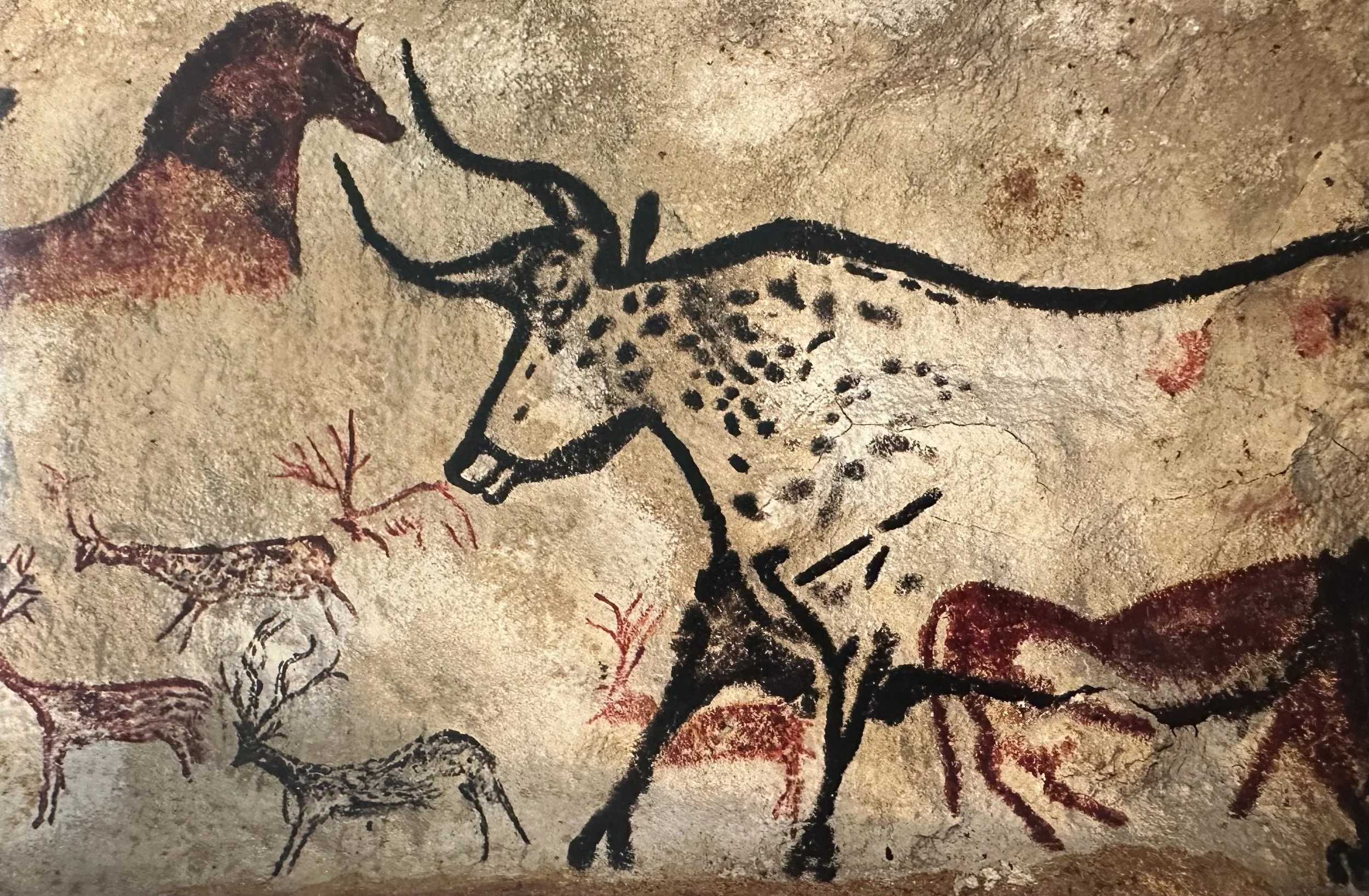 Cave Paintings from Lascaux, France