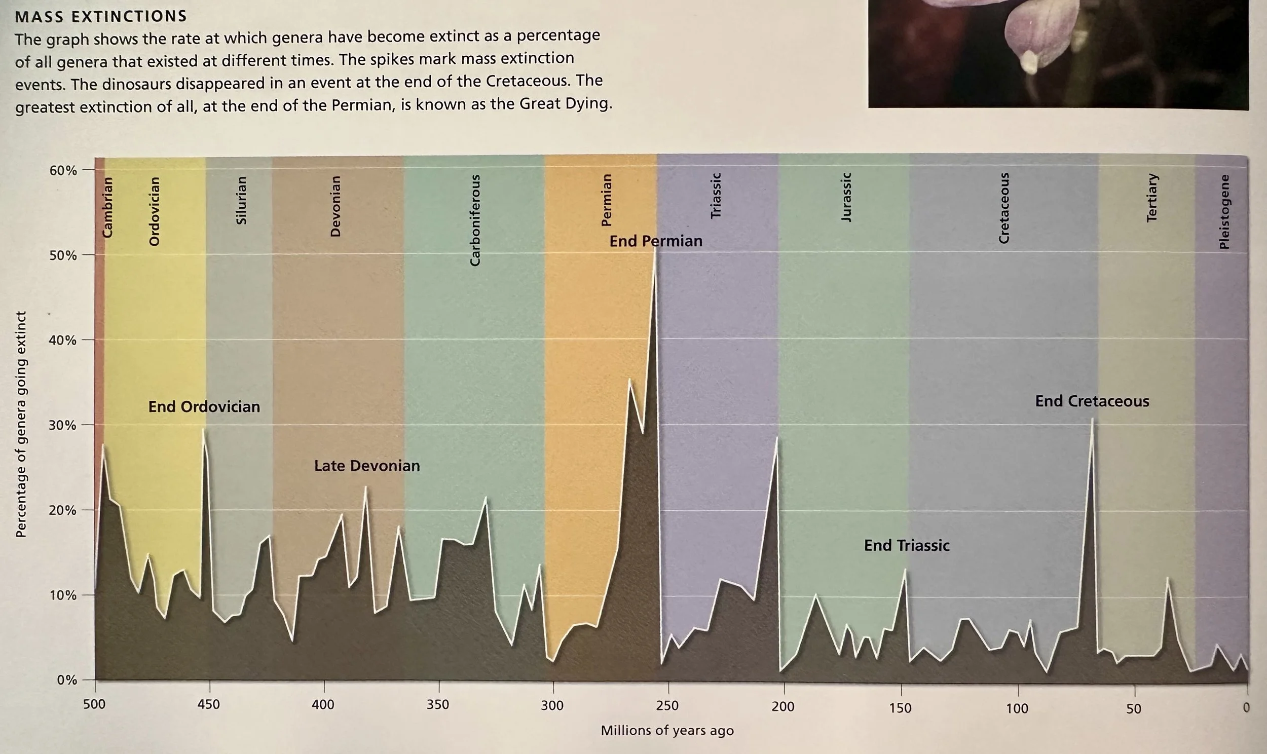 Mass Extinction