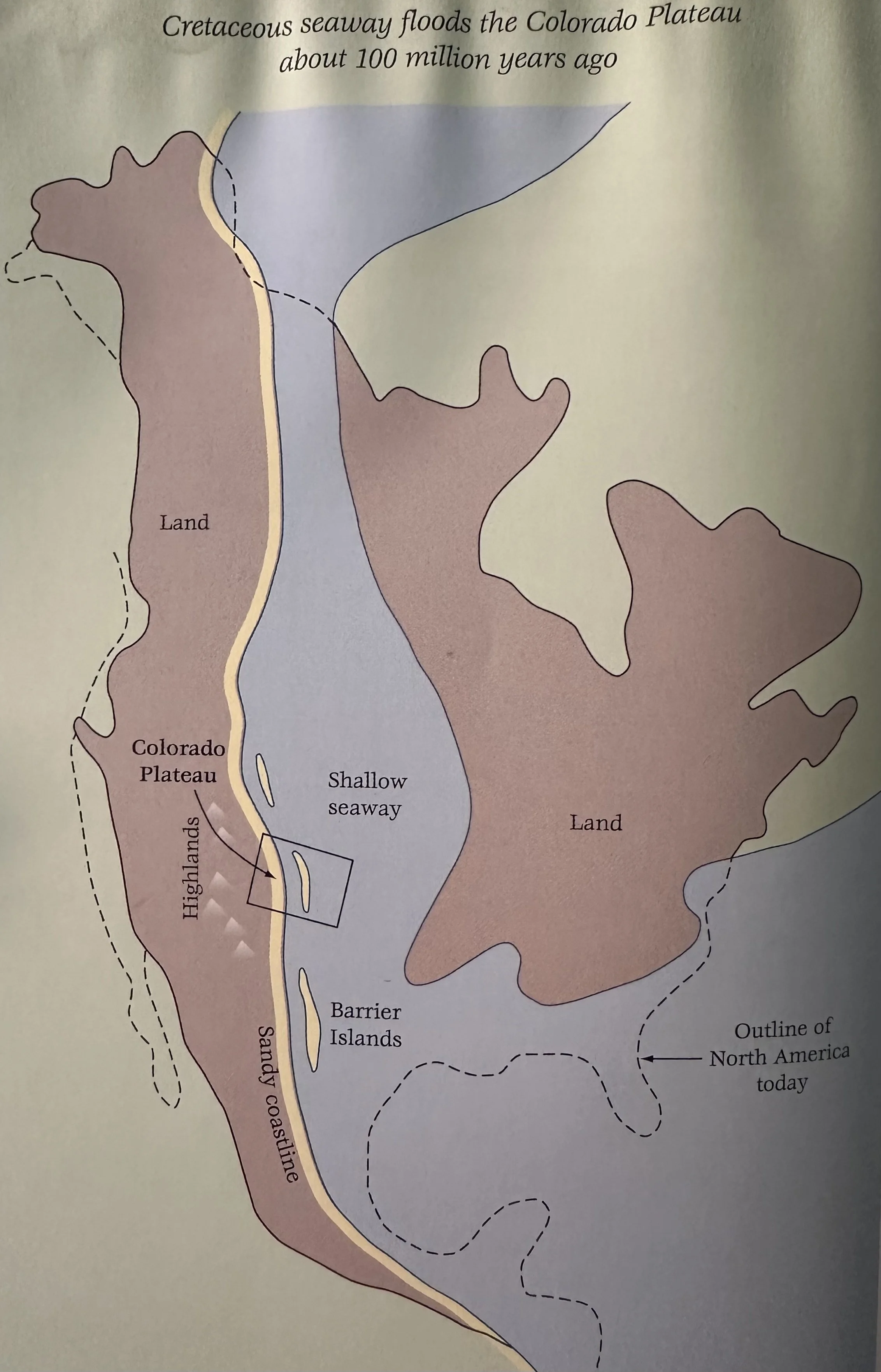100 Ma Cretaceous Seaway