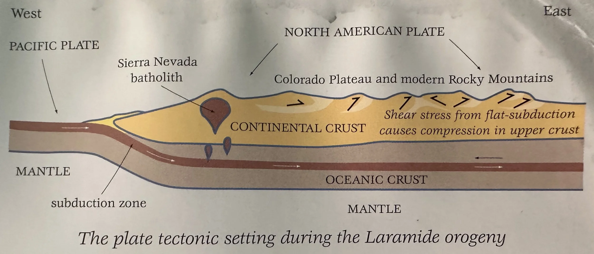 The plate tectonic setting during the Laramide orogeny