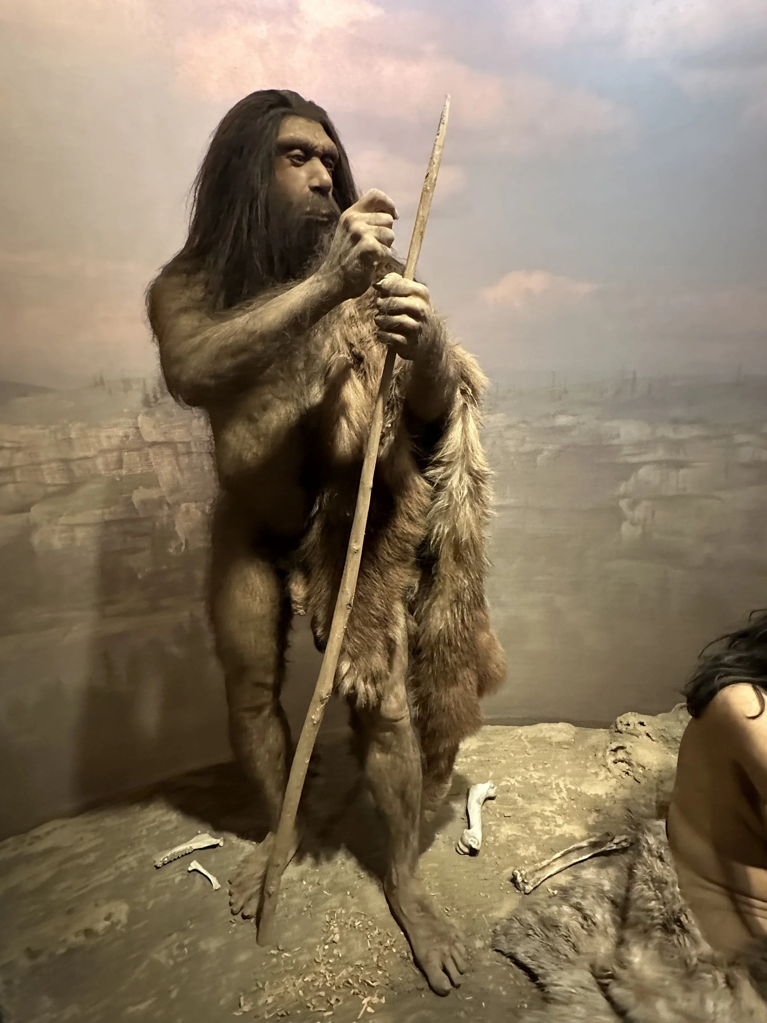 200 Ka Neanderthals American Museum of Natural History