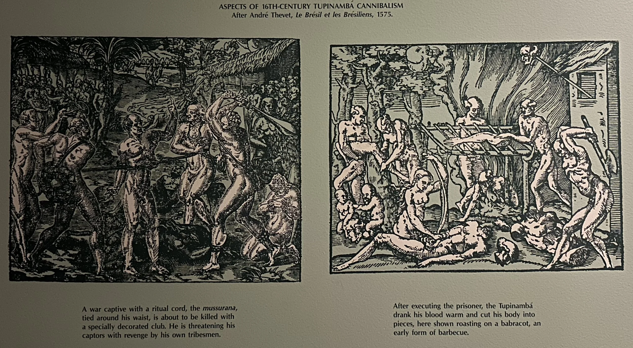 1575 Aspects of 16c Tupinamba Cannibalism by André Thevet American Museum of Natural History
