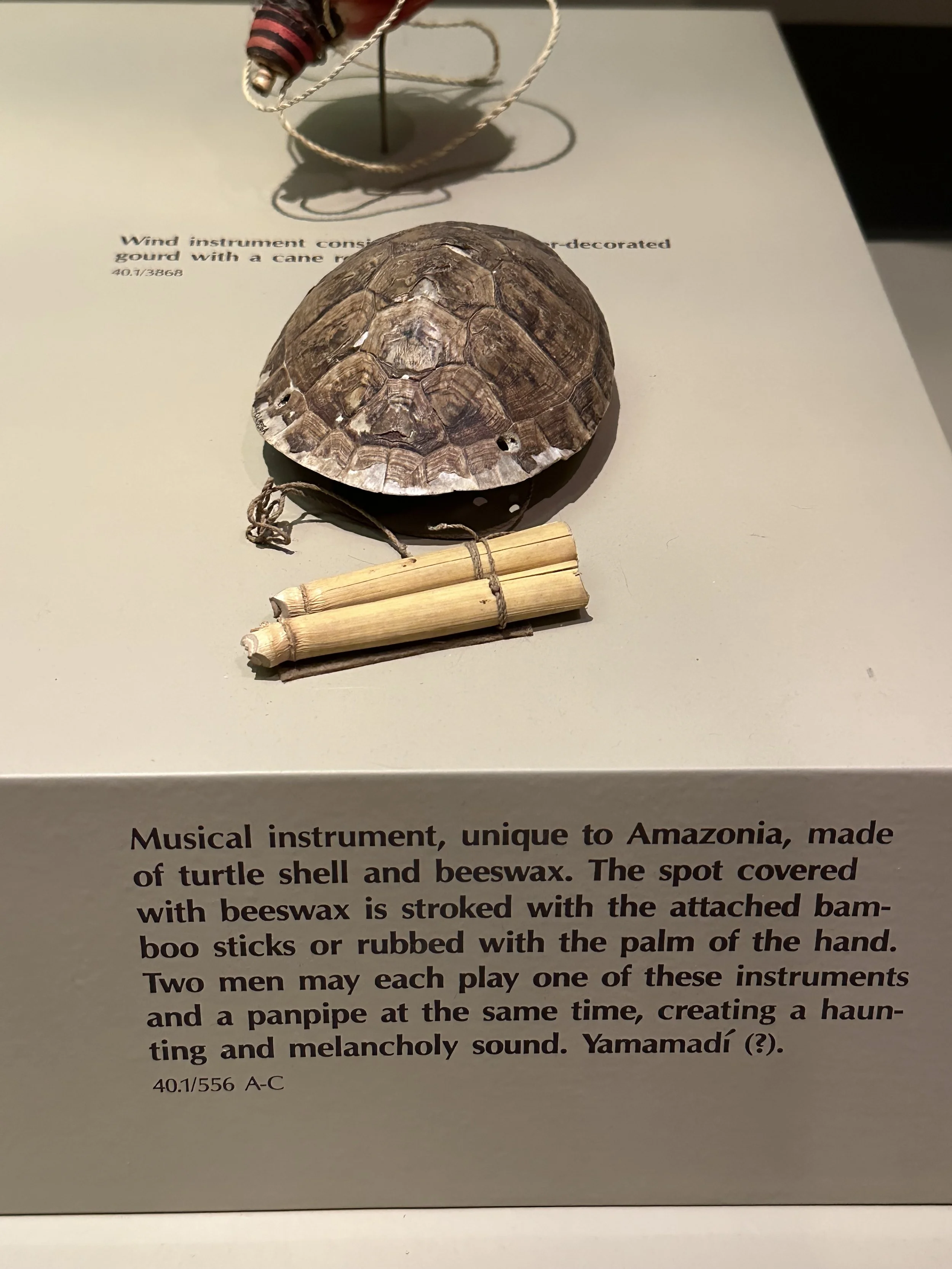 Amazonian Turtle Shell Instrument American Museum of Natural History