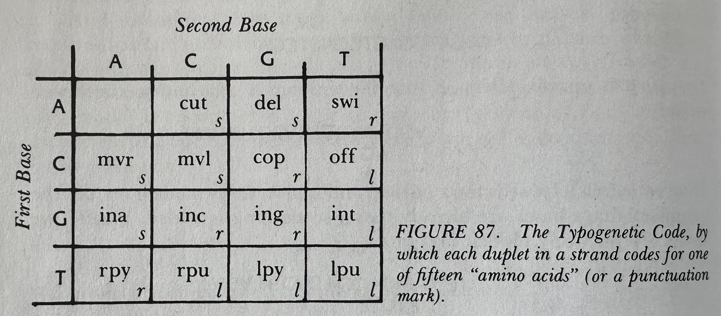 Typogenetic Code