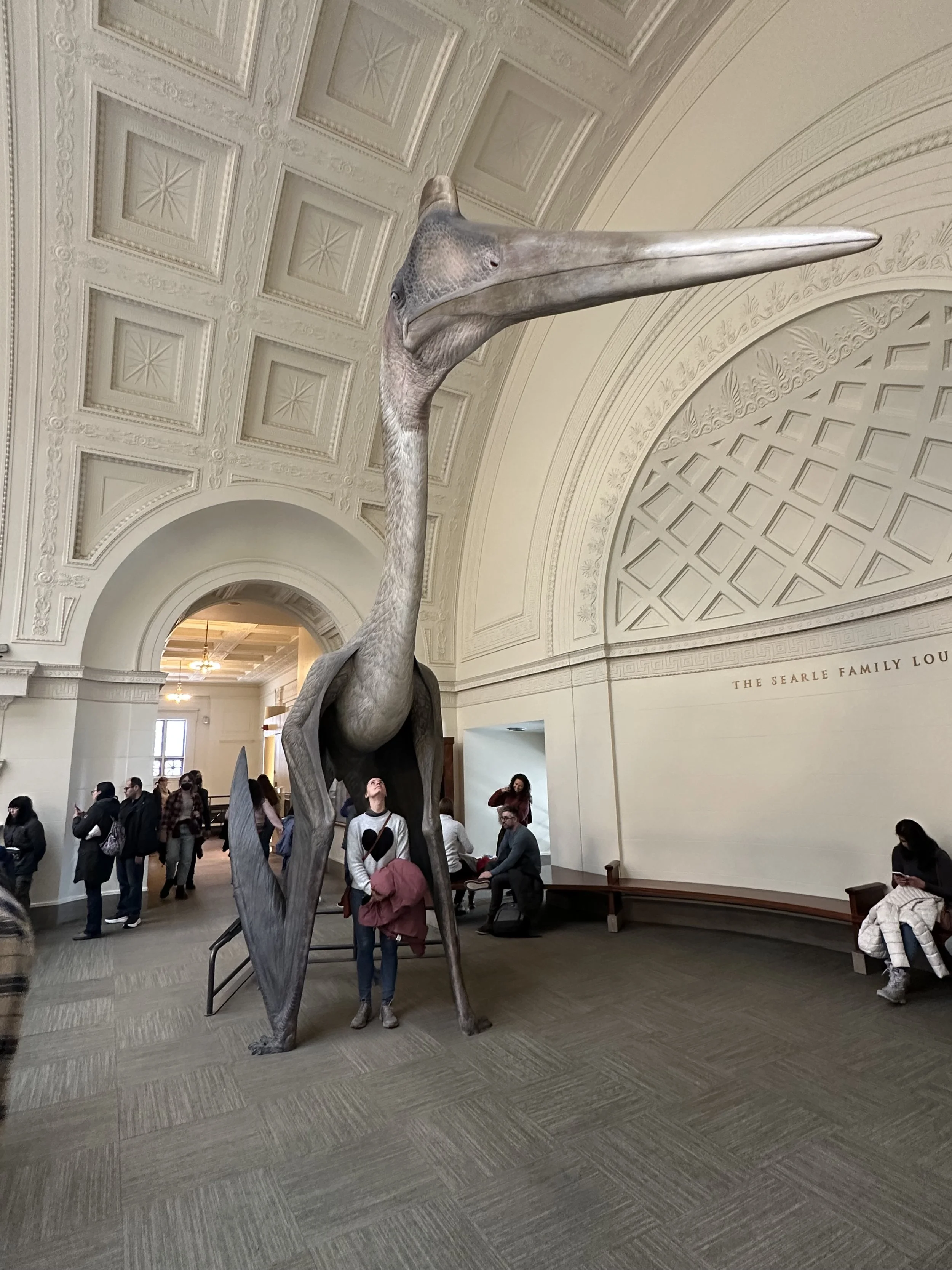 100-66 Ma Quetzalcoatlus northropi Model 