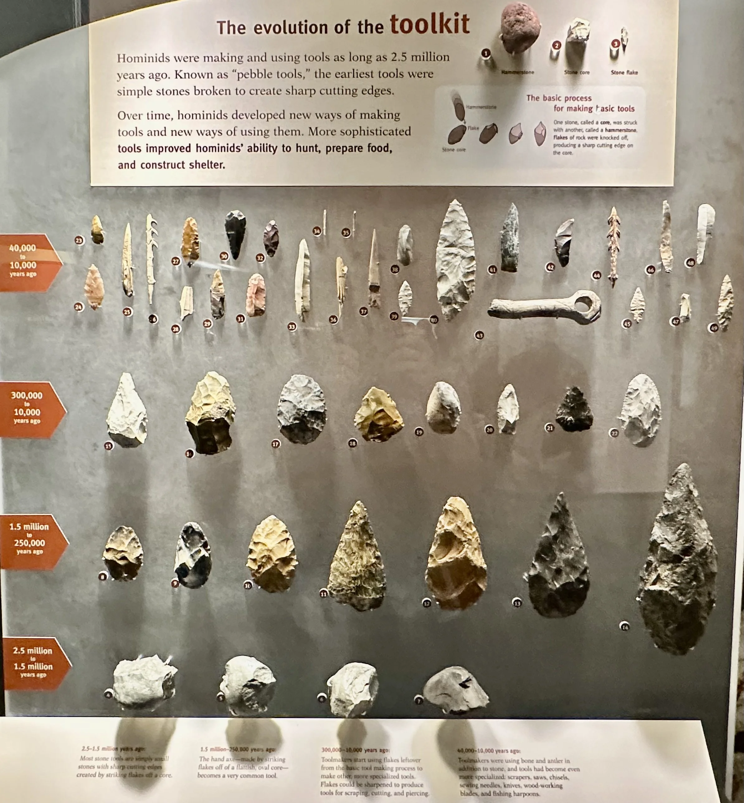 Hominid Toolkit Evolution