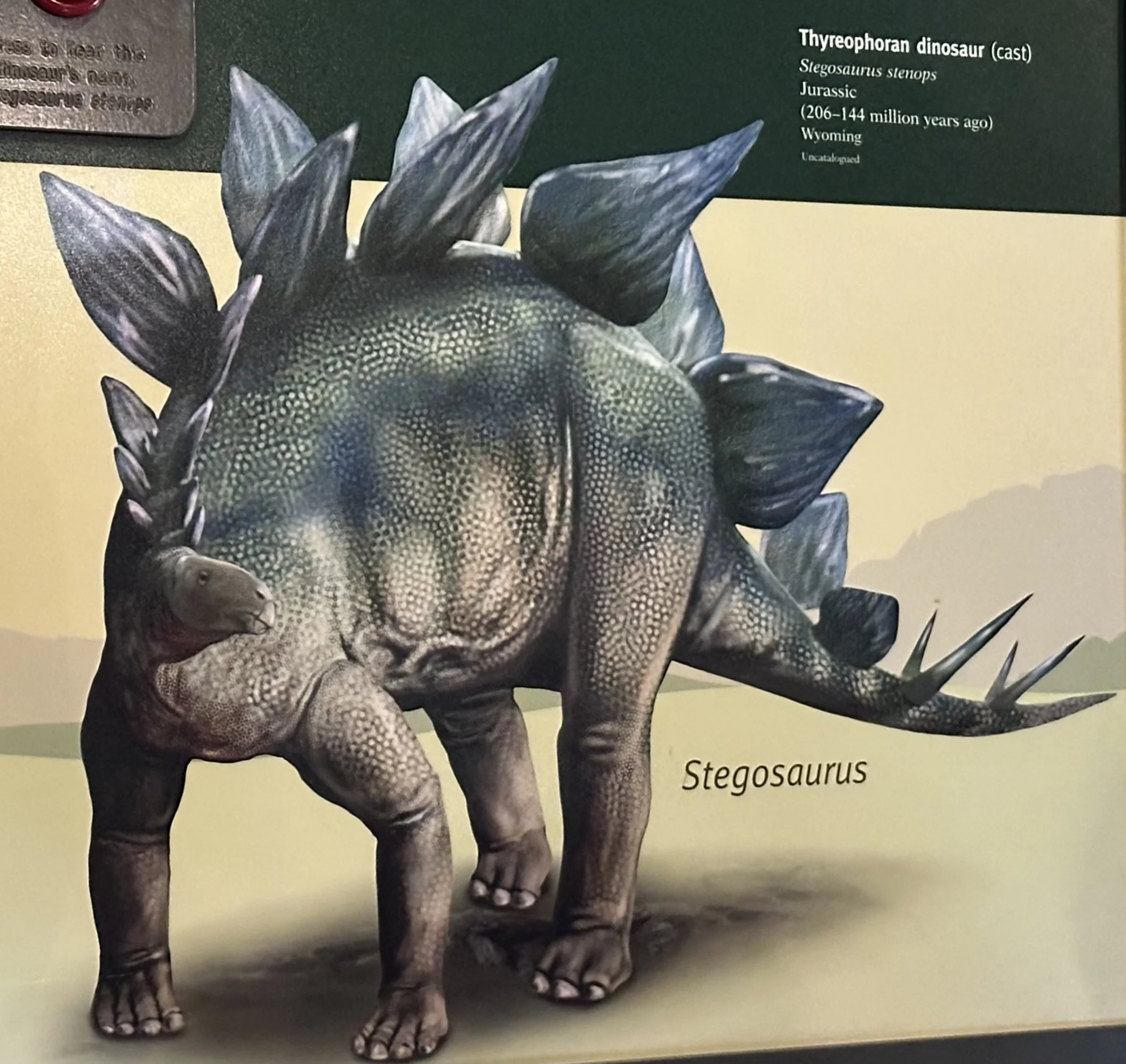 Jurassic Era Stegosaurus