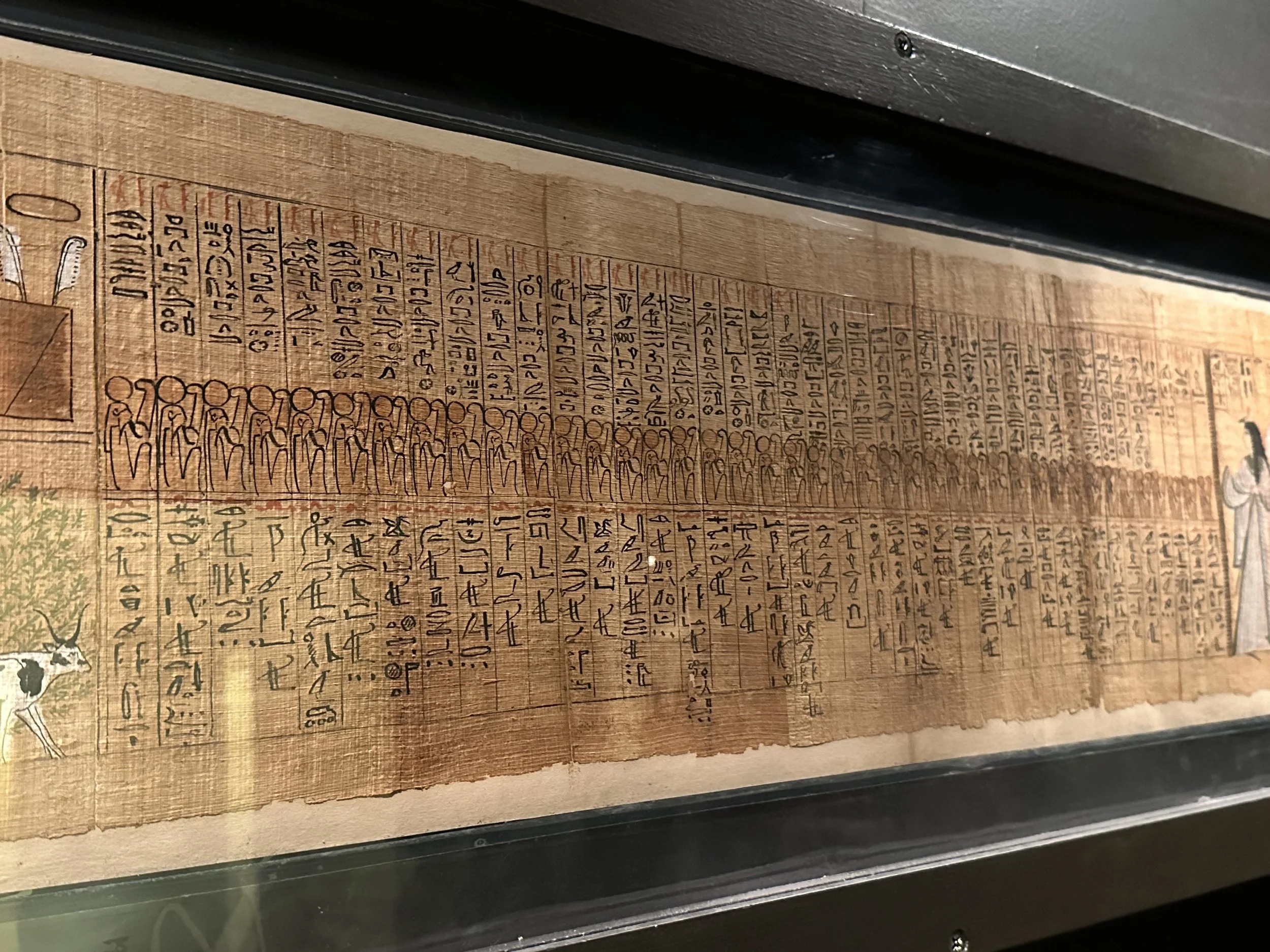 The Book of the Dead