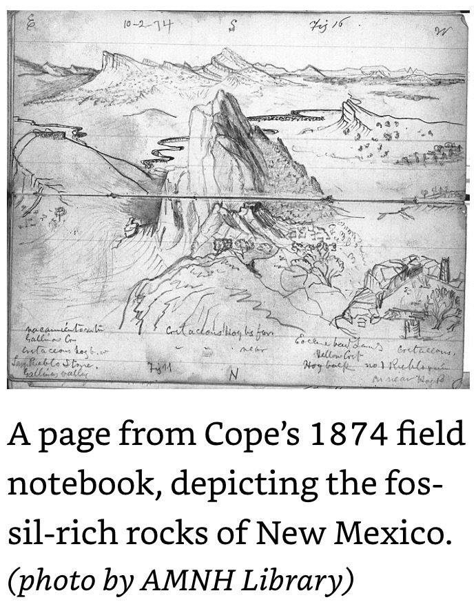 1874 Copes Field Notebook