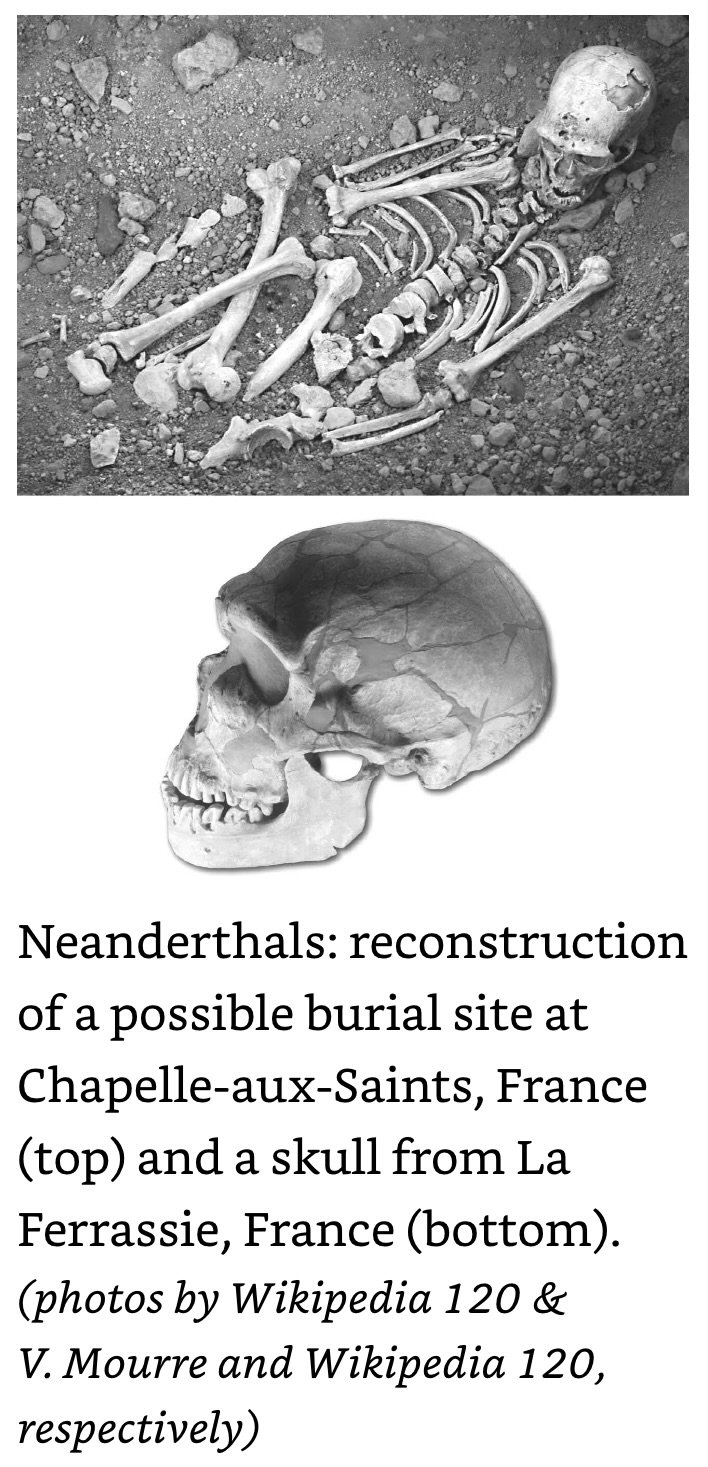 Neanderthals