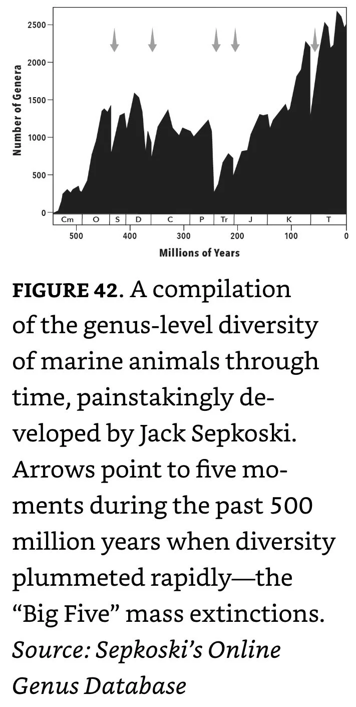 A Compilation of the genus level diversity of marine animals through time
