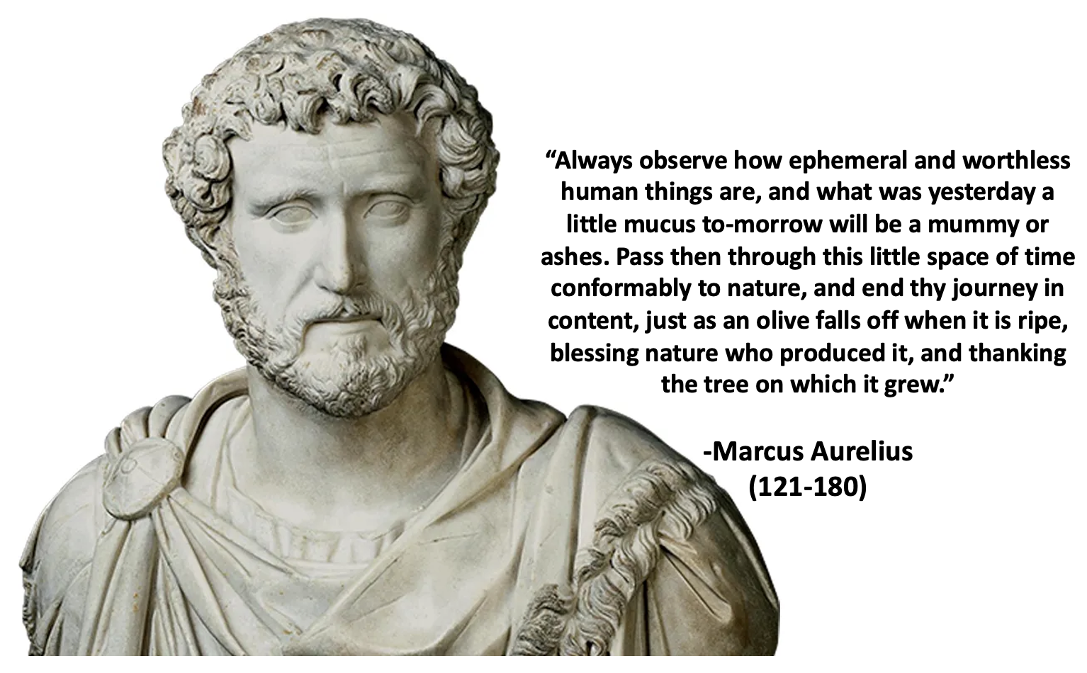121-180 Marcus Aurelius Always observe....png