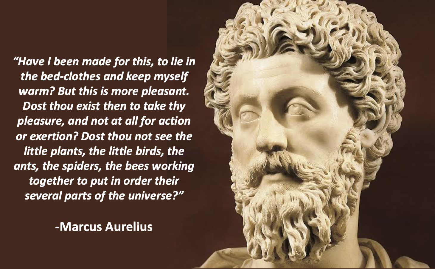 121-180 Marcus Aurelius Have I been made for this....png