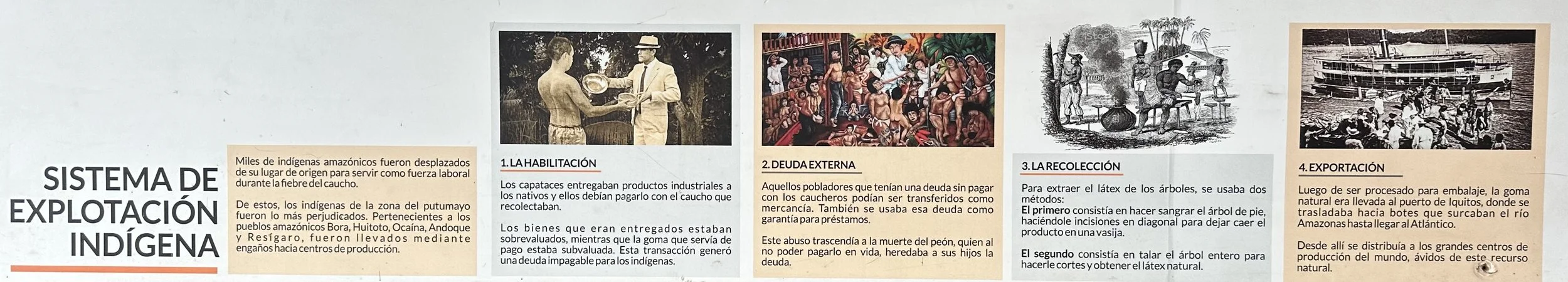 System of Exploitation in the Amazon