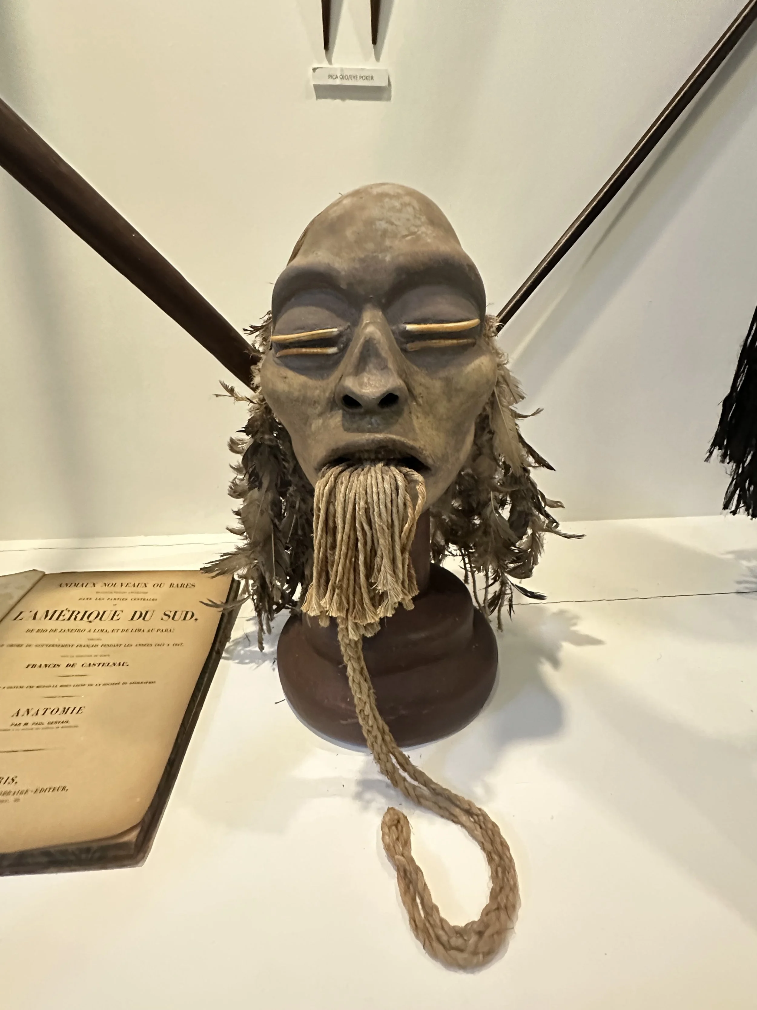 Amazonian Mask.jpeg