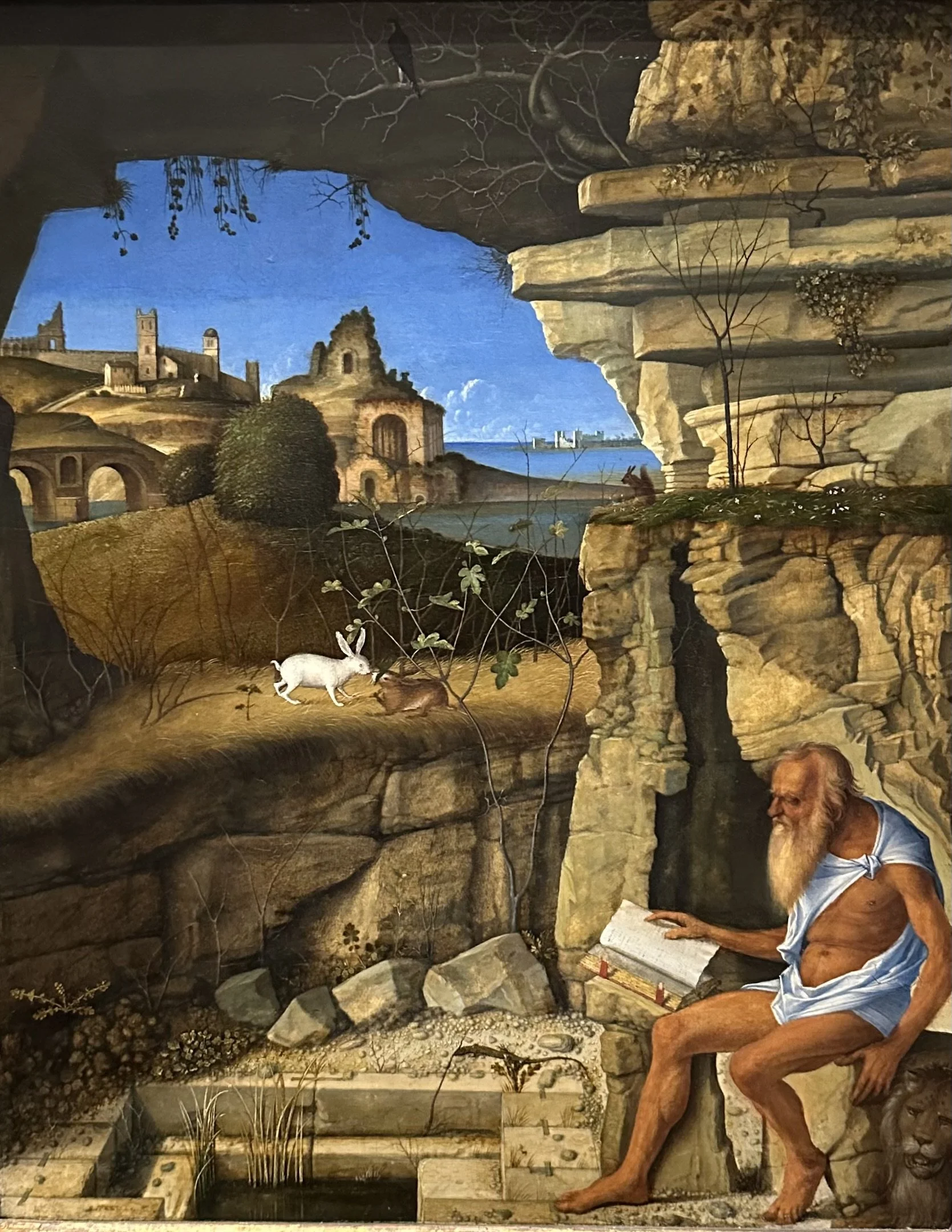 1505 Saint Jerome Reading by Giovanni Bellini