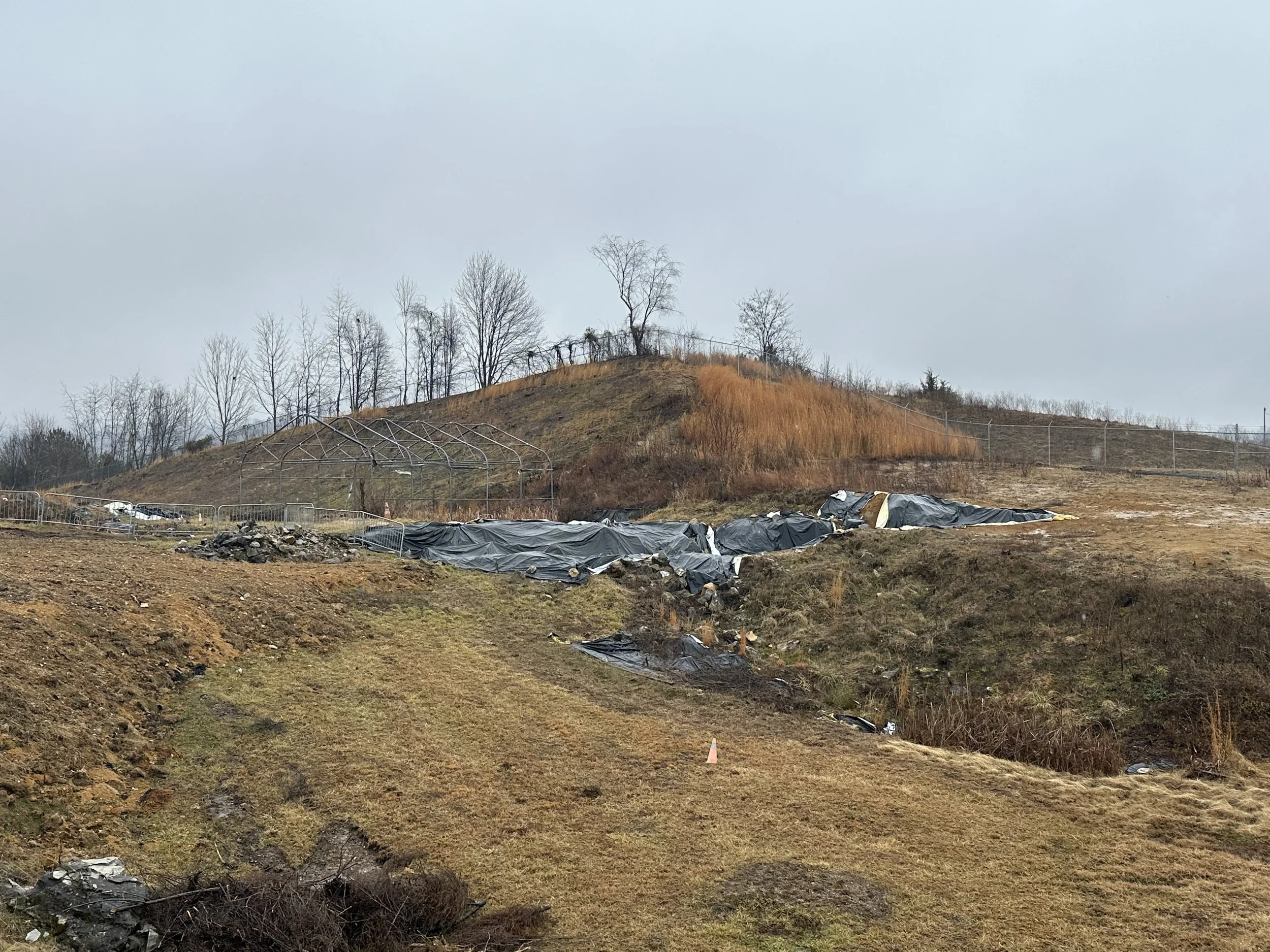 Gray Fossil Site Tennessee
