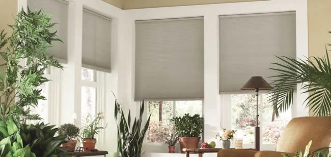 norman-honeycomb-shades2.jpg