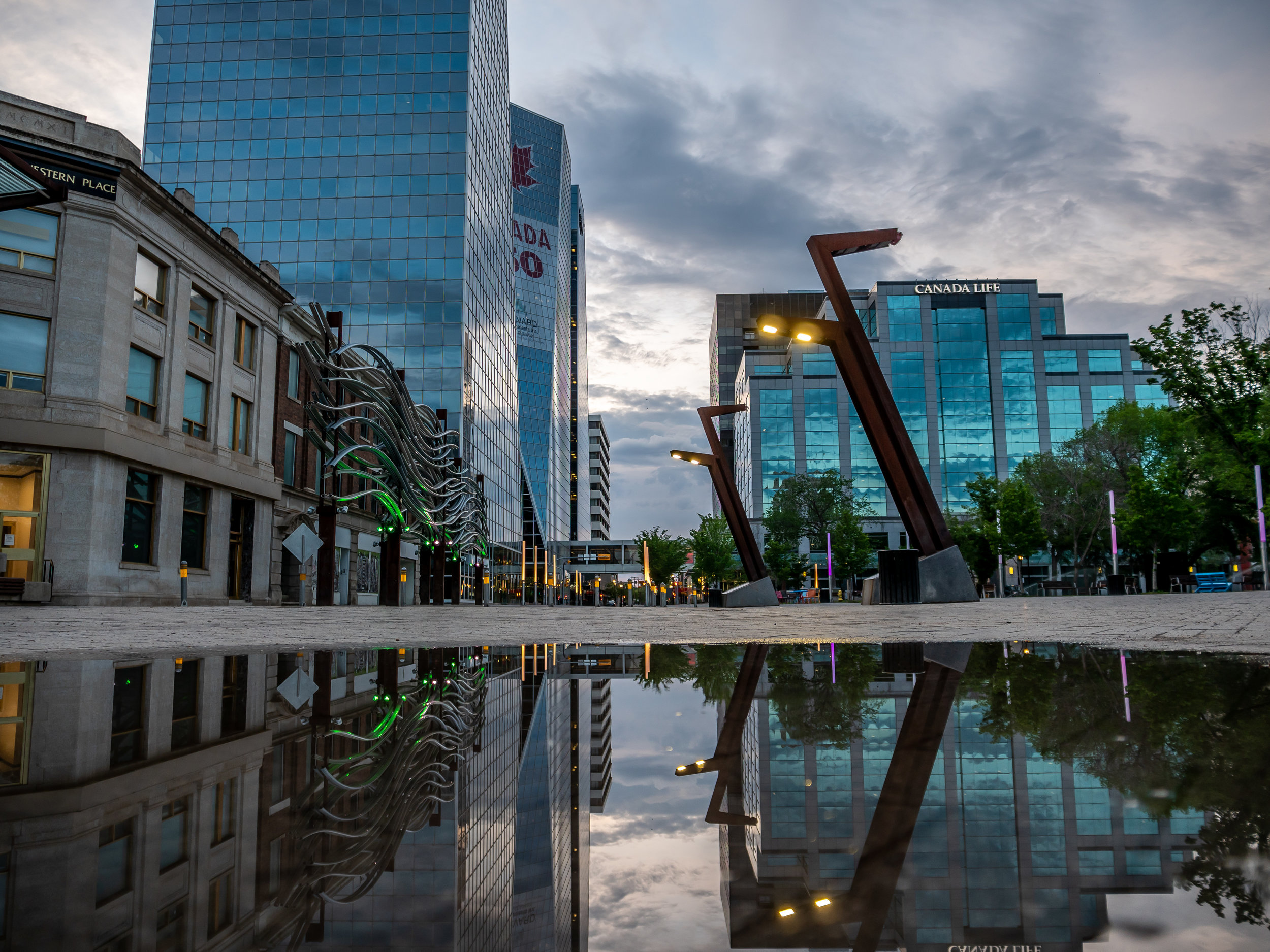P1100057.jpg