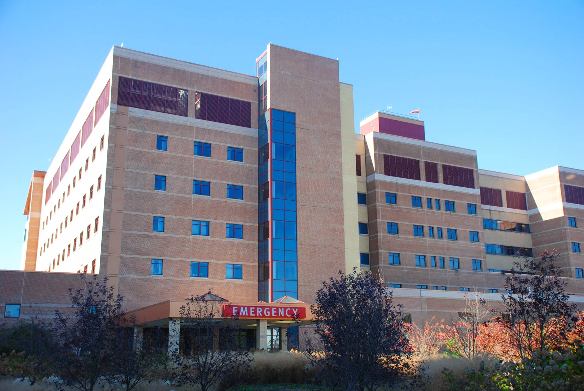 AAMC ED-52.jpg