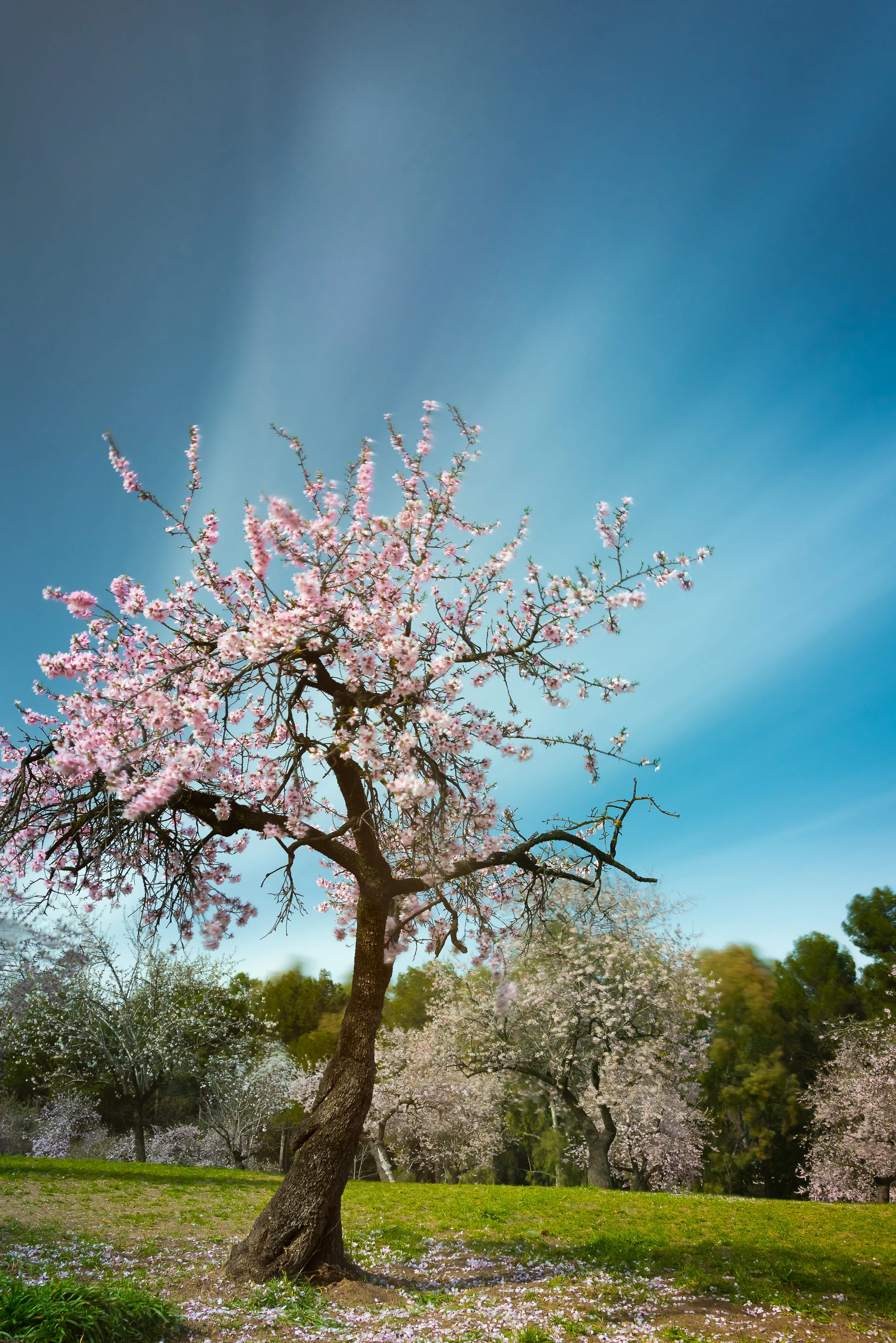 Super-Long Exposure Photography - A Vague Monologue