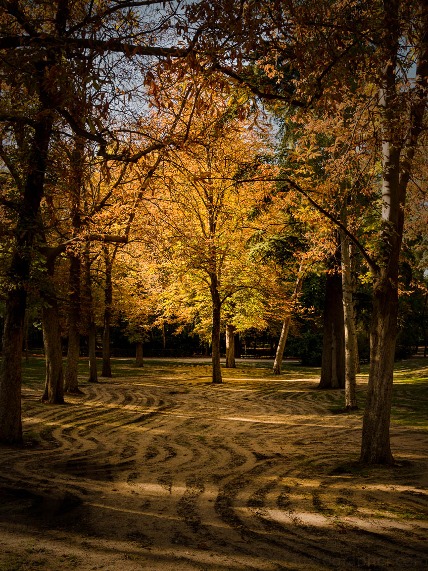 Long Time No Post - Autumn in Madrid