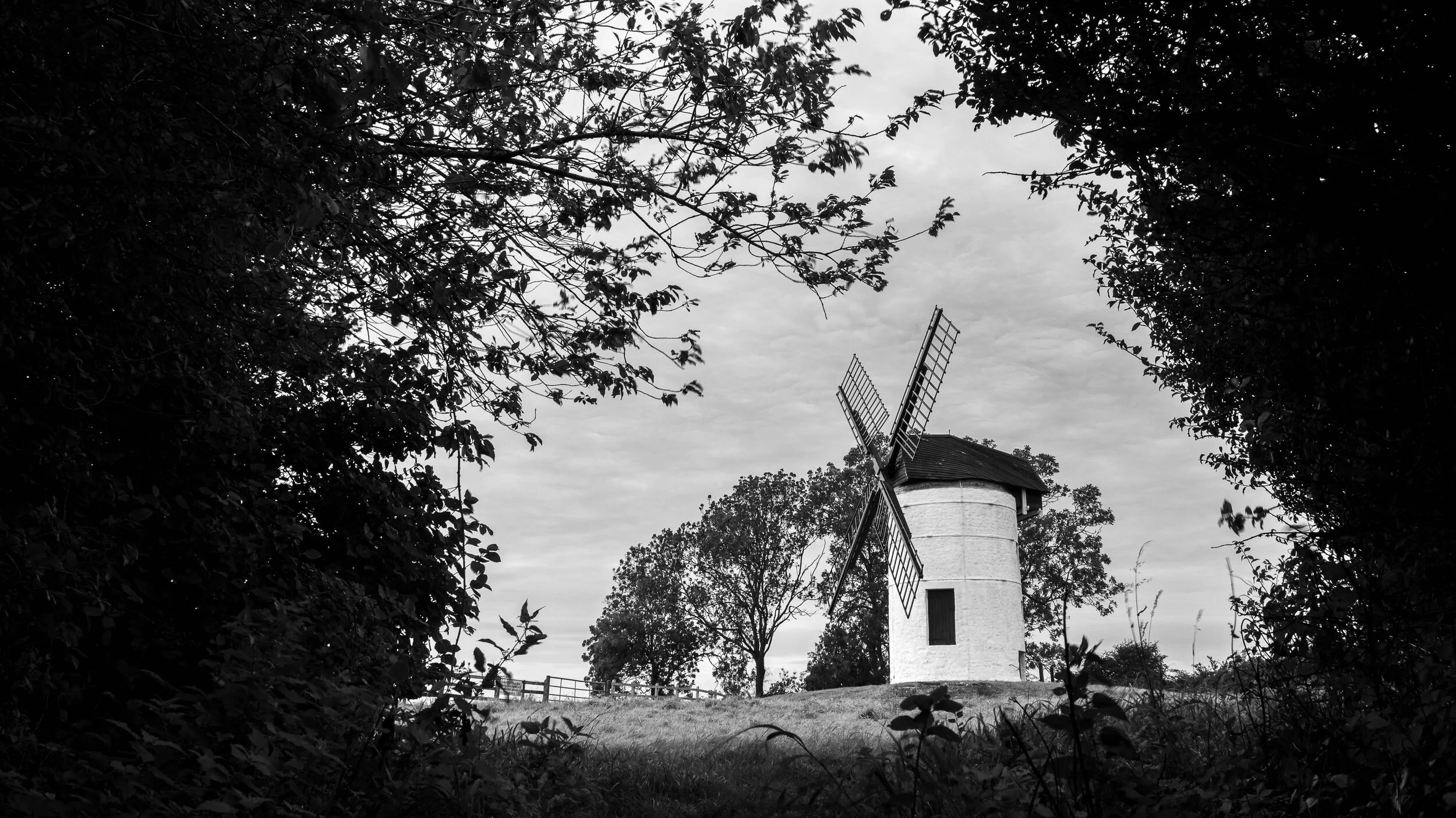 Lavender, Wells and Windmills