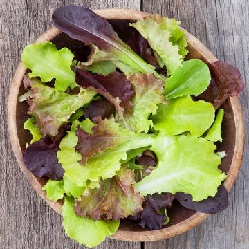 Mesclun de laitues