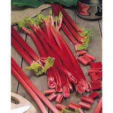 Rhubarbe