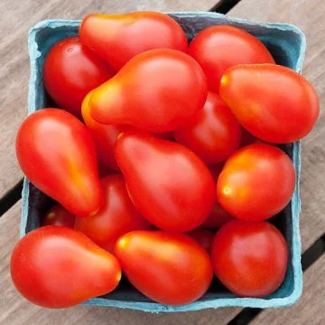Tomate poire rouge