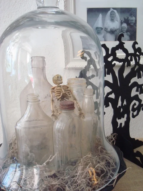 I love this glass cloche set up. Just enough spook with a lot of chicness.