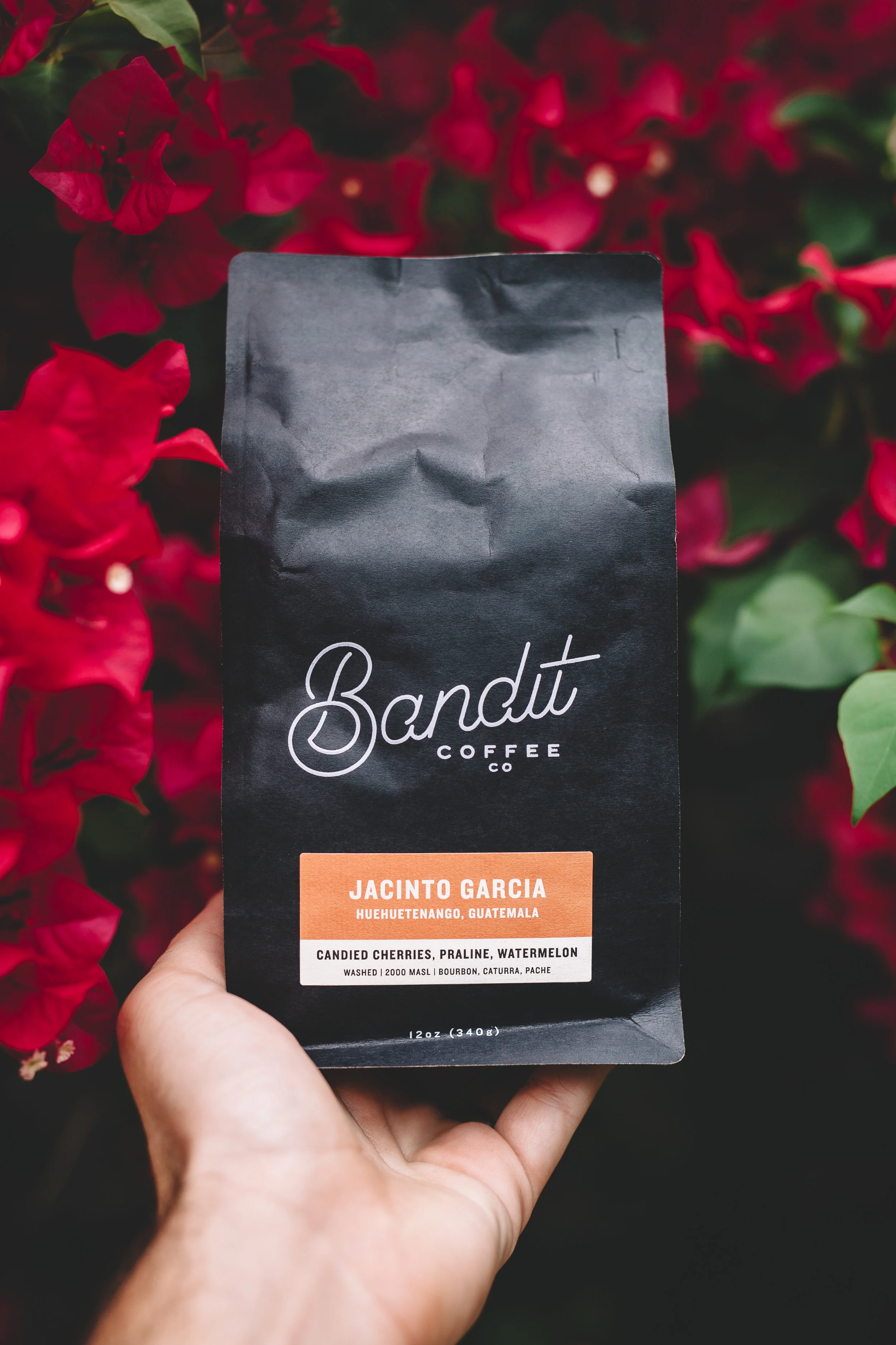 St. Pete Coffee Shops