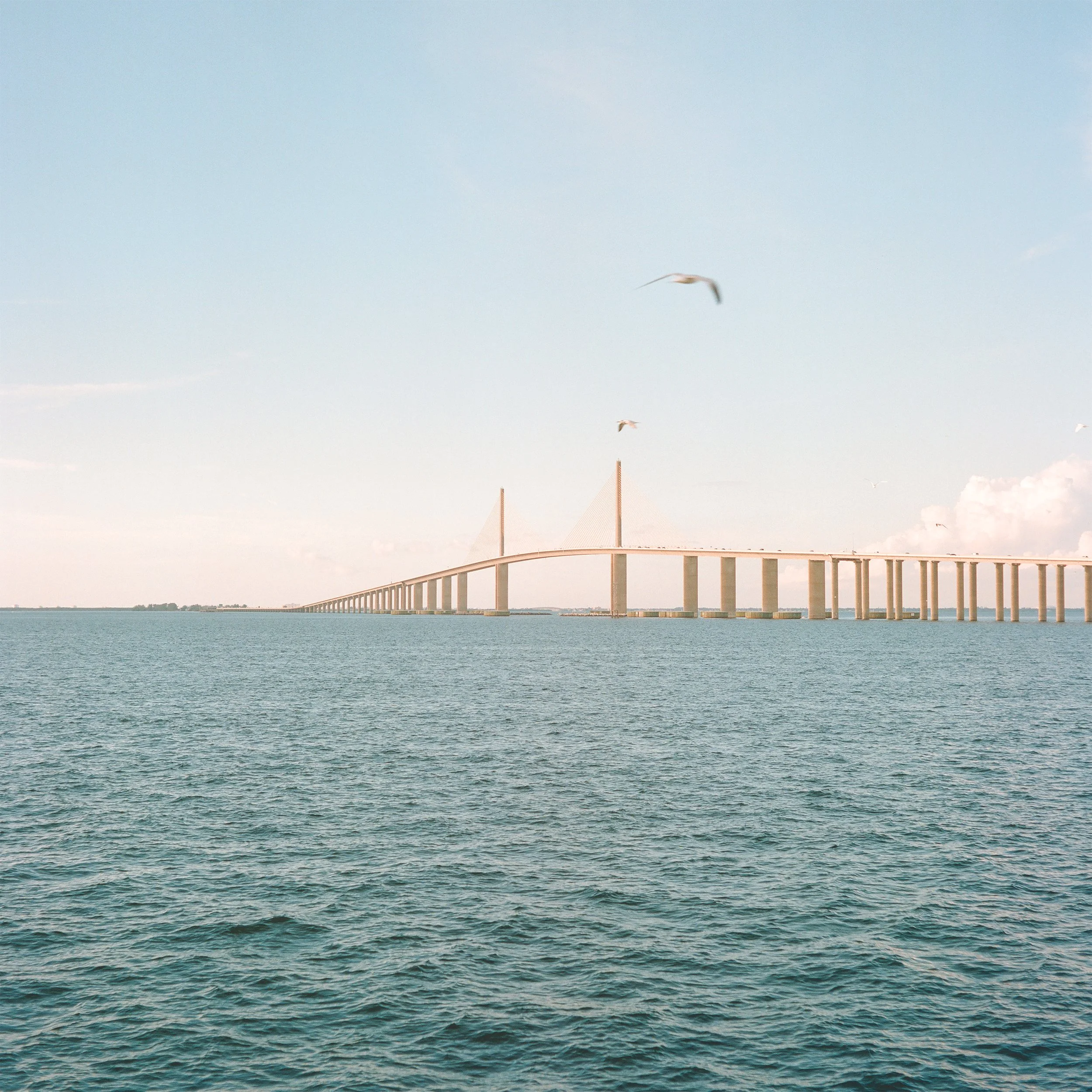 skyway wide 1x1 mamiya portra 400.jpg