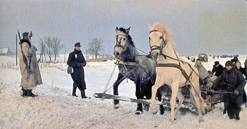 german refugees.jpg