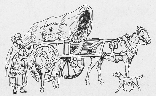 Sutlers cart and donkey