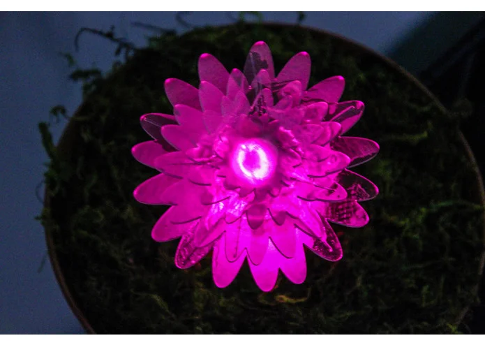 flowerpower2.jpg