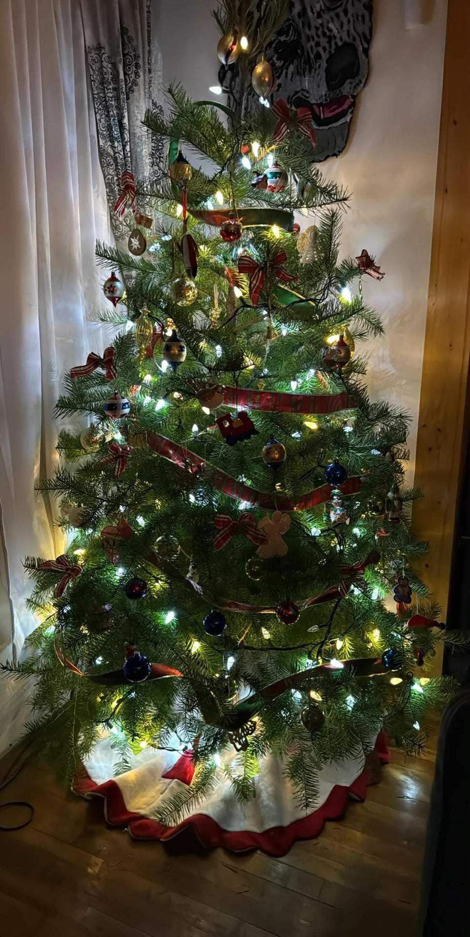 Christmas tree is up!