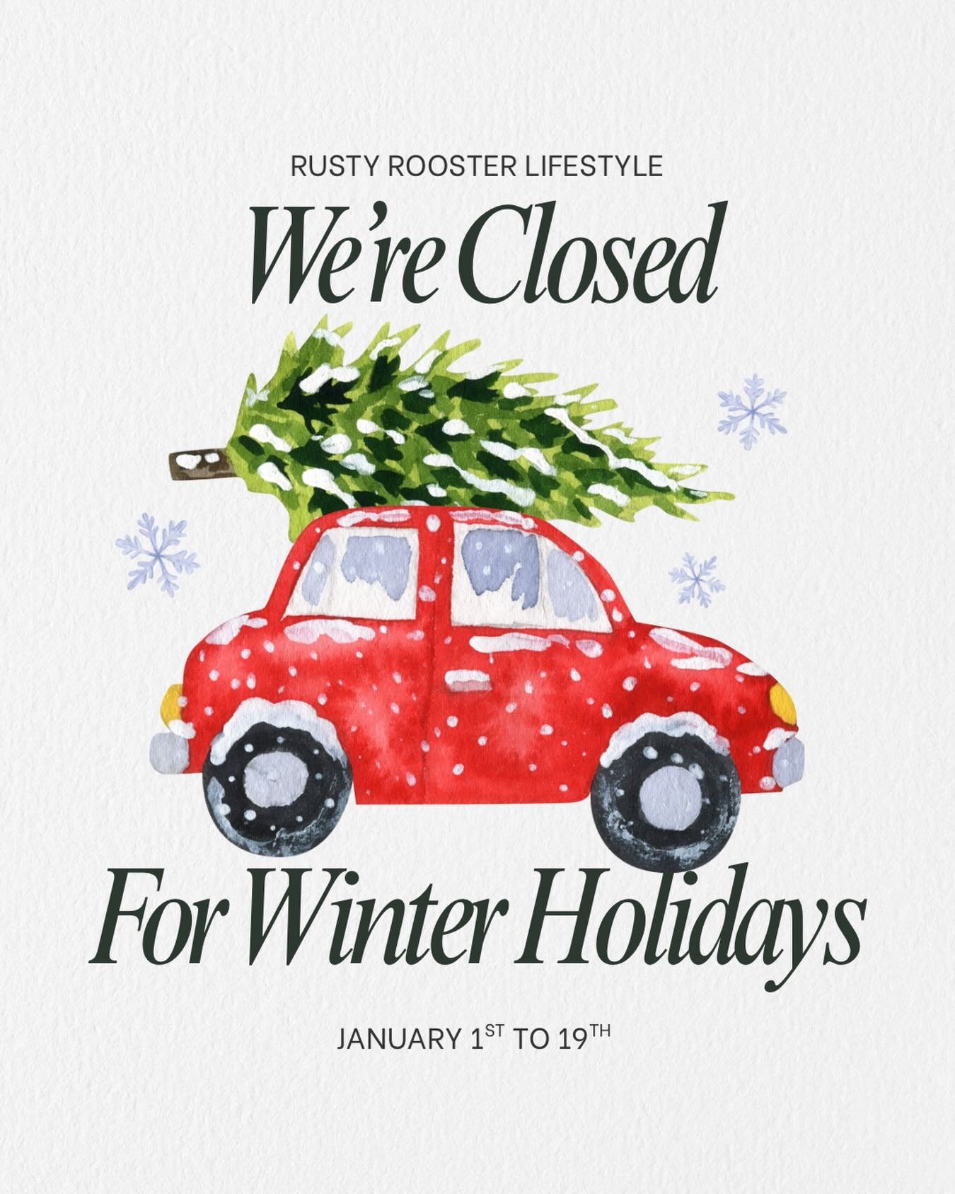 Thanks to everyone who supported our small business in 2025! We will be taking a short break and be back to serve you in 2026. Happy new year 🥳 see you on the flip side 🎇🎆